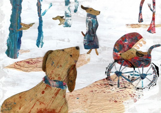 وقتی سگت را به گردش می بری..